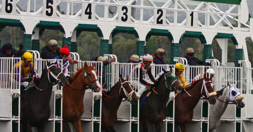 Betting Systems for Horse Racing